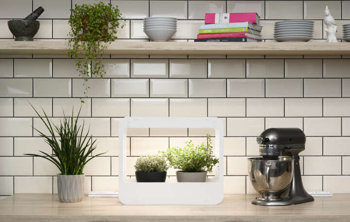 romberg Mini-Garten mit LED-Beleuchtung